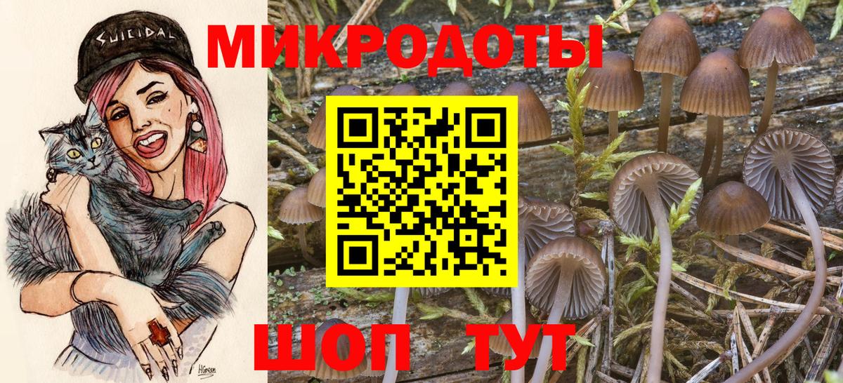 Псилоцибиновые грибы мухоморы Железногорск