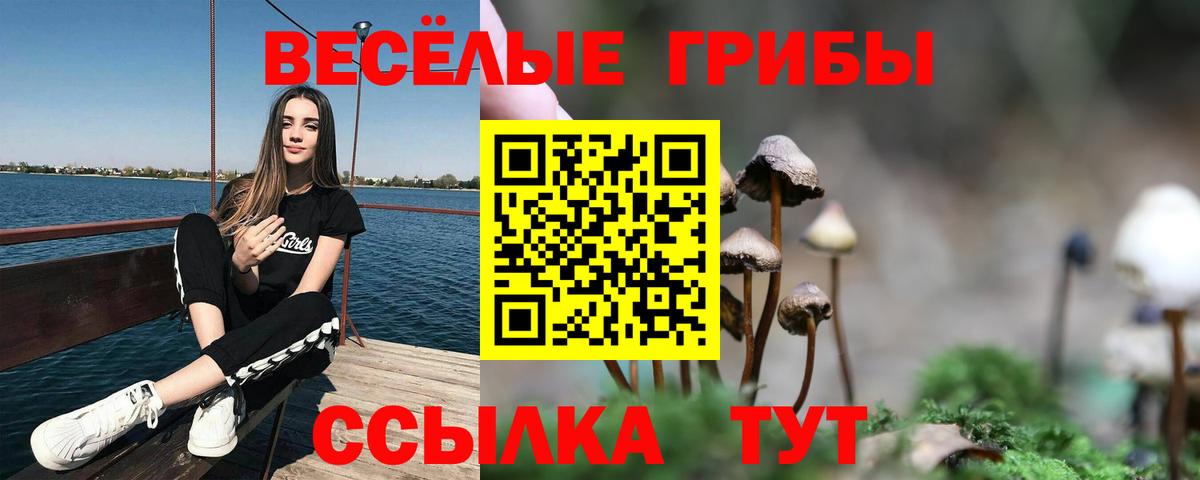 Псилоцибиновые грибы прущие грибы  продажа наркотиков  Железногорск  Вход с VPN 